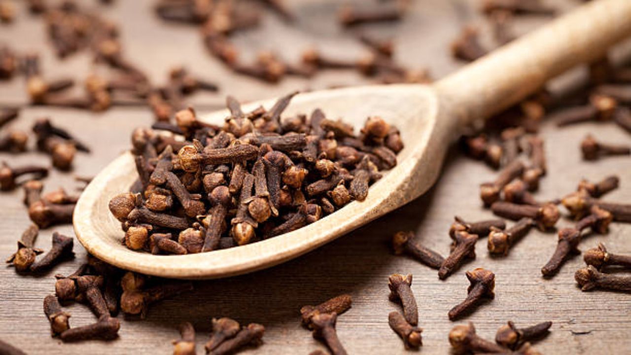 Soaked Cloves Benefits: सकाळी उठल्यानंतर नियमित करा भिजवलेल्या लवंगचे सेवन! गंभीर आजारांपासून मिळेल कायमची सुटका सकाळी उठल्यानंतर नियमित करा भिजवलेल्या लवंगचे सेवन! गंभीर आजारांपासून मिळेल कायमची सुटका