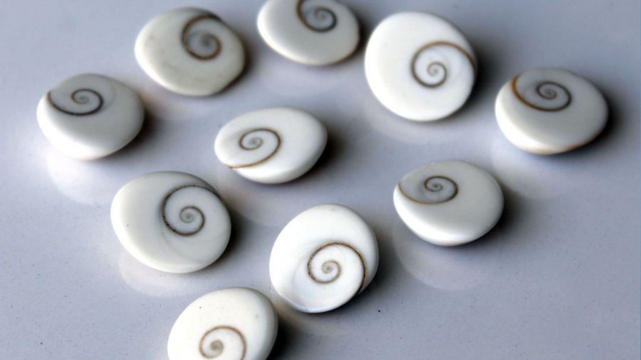 Vastu Tips: वर्ष संपण्यापूर्वी घरामध्ये आणा या गोष्टी, सर्व समस्यांपासून होईल सुटका