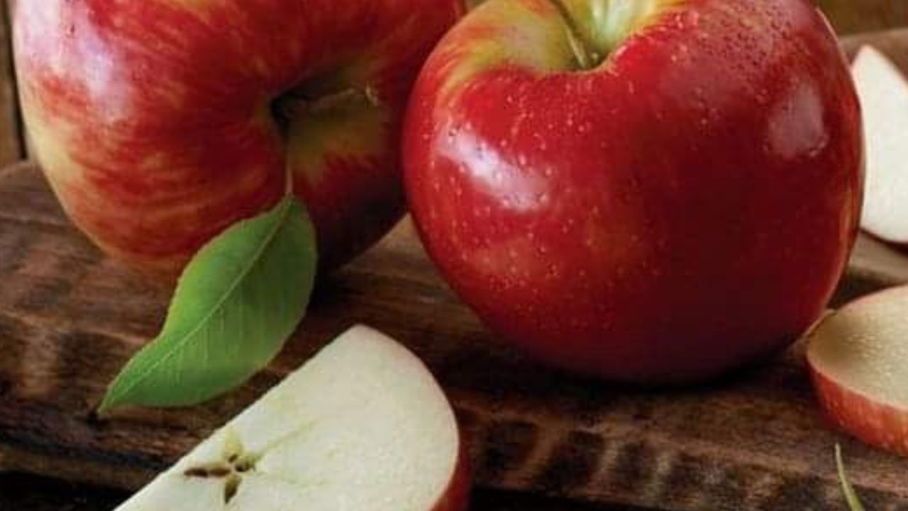 सफरचंद : थंडीत सतत भूक लागते. जर तुम्हालाही वजन कमी करायचं असेल तर, नाश्त्याला सकाळी सफरचंद खावं. सफरचंदामध्ये फायबर जास्त असल्याने भूक कमी लागते.