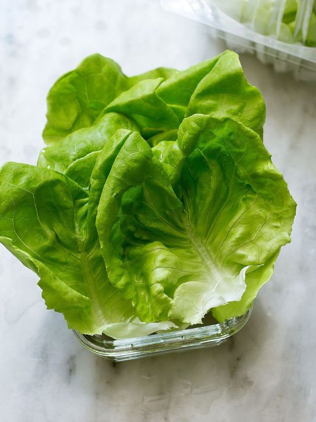 रोज लेट्युस खाल्ल्याने मिळतात जबरदस्त फायदे