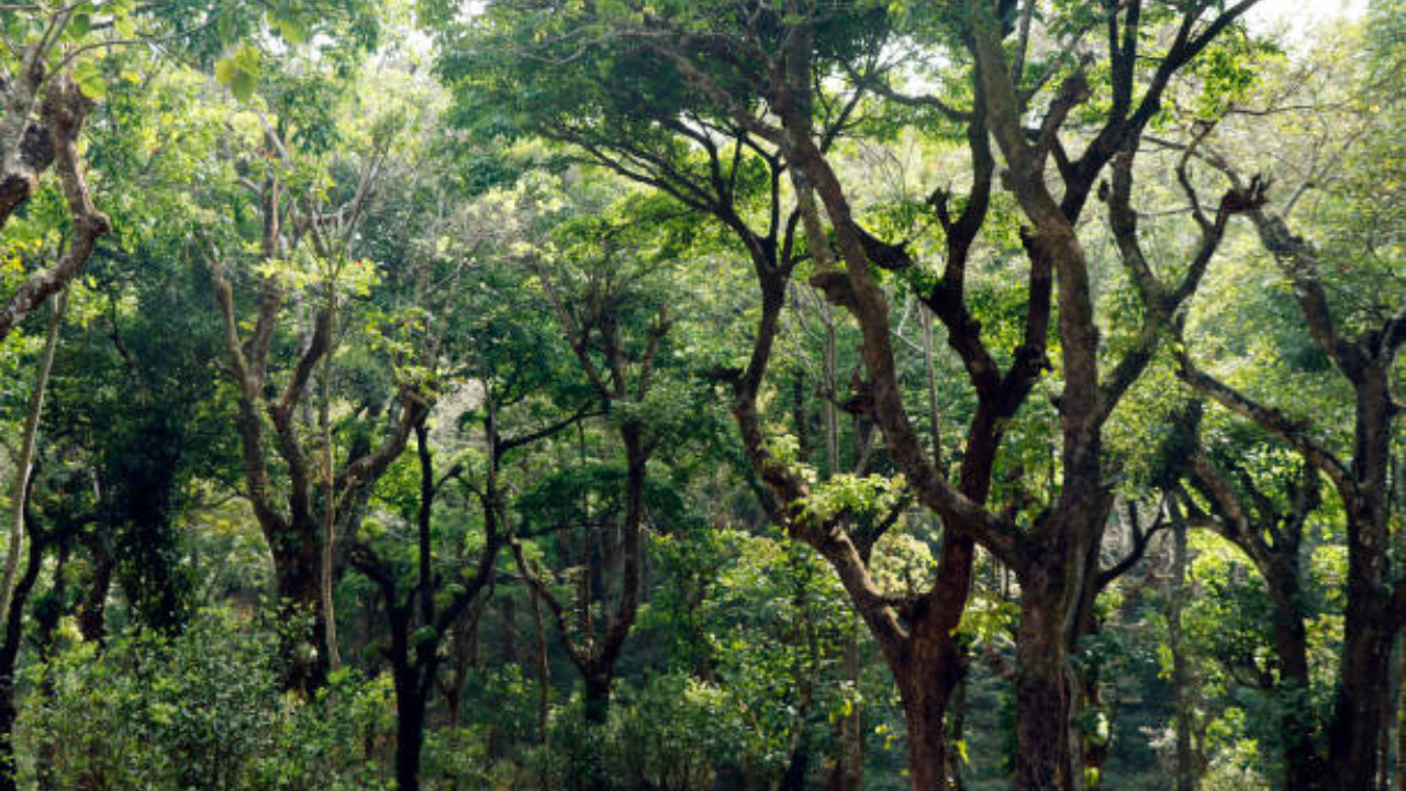 सर्वोच्च न्यायालयाचा निकाल, मुंबई महानगरसह लाखो शेतकऱ्यांना लाभ