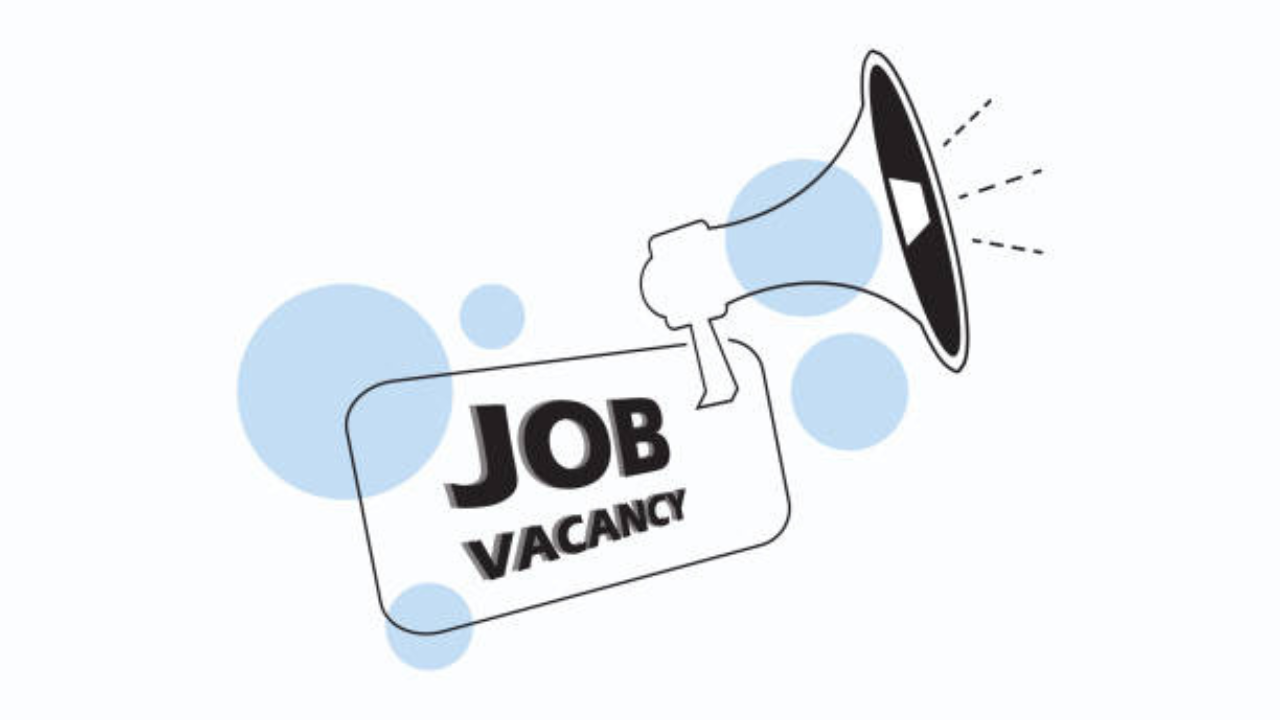 IMD Vacancy 2025: सायंटिस्ट आणि Admin सहायक पदासाठी 136 जागांवर भरती, पटापट करा अर्ज; शेवटची तारीख जवळ