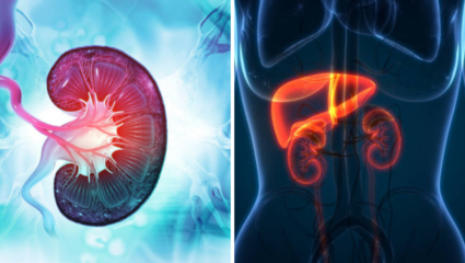 हिवाळ्यात करा Kidney चे संरक्षण, मुतखड्यापासून दूर राहण्यासाठी घ्या ‘अशी’ काळजी