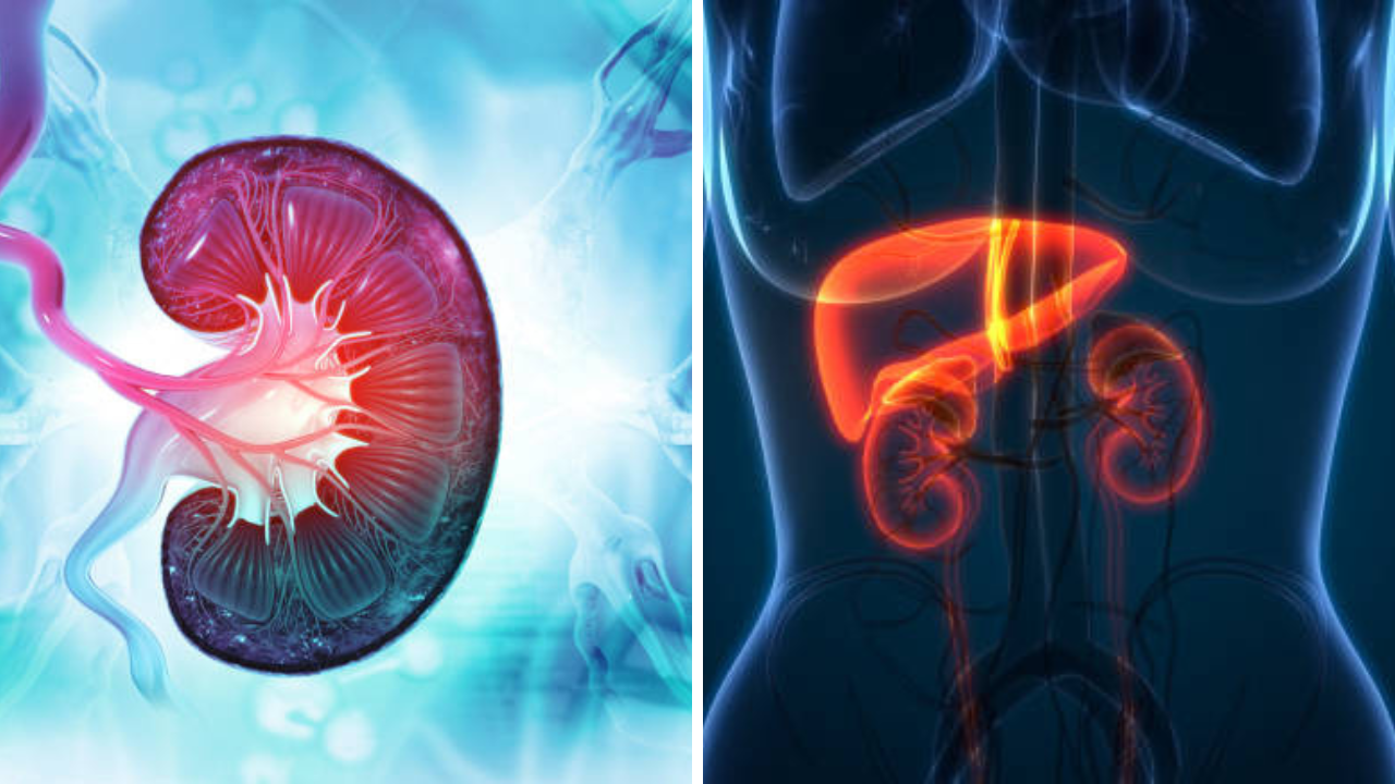 हिवाळ्यात करा Kidney चे संरक्षण, मुतखड्यापासून दूर राहण्यासाठी घ्या ‘अशी’ काळजी