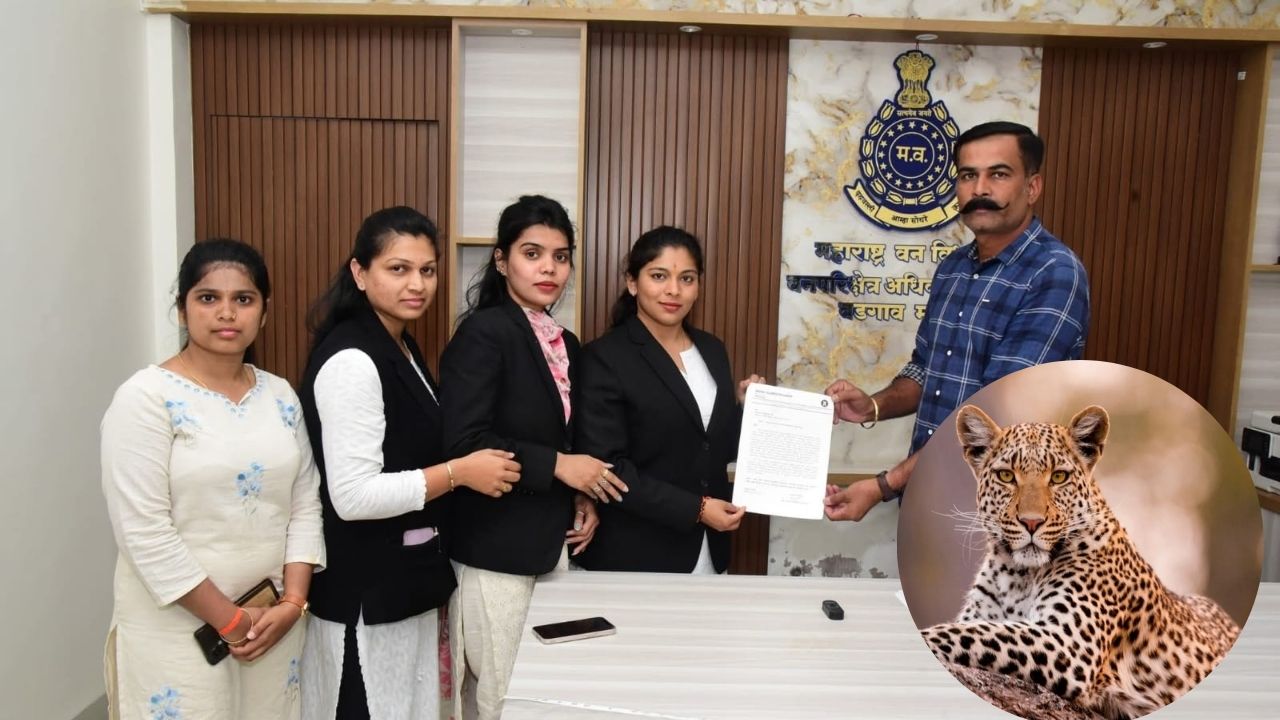 वडगाव शहरात बिबट्याचा मुक्त वावर; सुरक्षा उपाययोजनेसाठी अँड. मृणाल म्हाळसकर यांचे वनविभागाला निवेदन