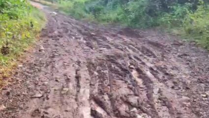 Matheran News : माथेरान डोंगरातील वाड्यांच्या रस्त्याची दुरवस्था, आदिवासी पाड्यातील गावकऱ्यांचे होतायत हाल
