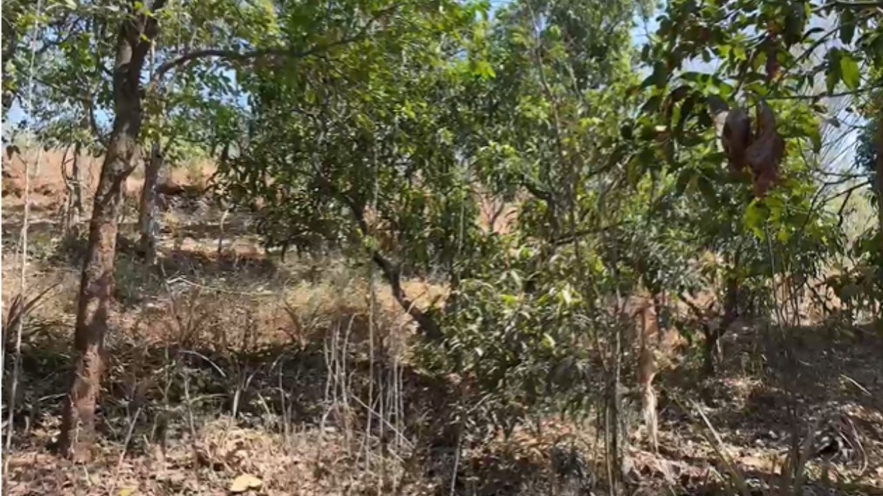 जनविरोधापुढे MMRDA झुकले! उत्तन-डोंगरी डिपो योजना रद्द; नागरिकांचा ऐतिहासिक संघर्ष यशस्वी