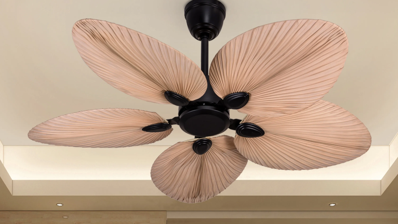 पंख्याचा शोध कुणी लावला? जाणून घ्या यामागचा इतिहास आणि प्रवास