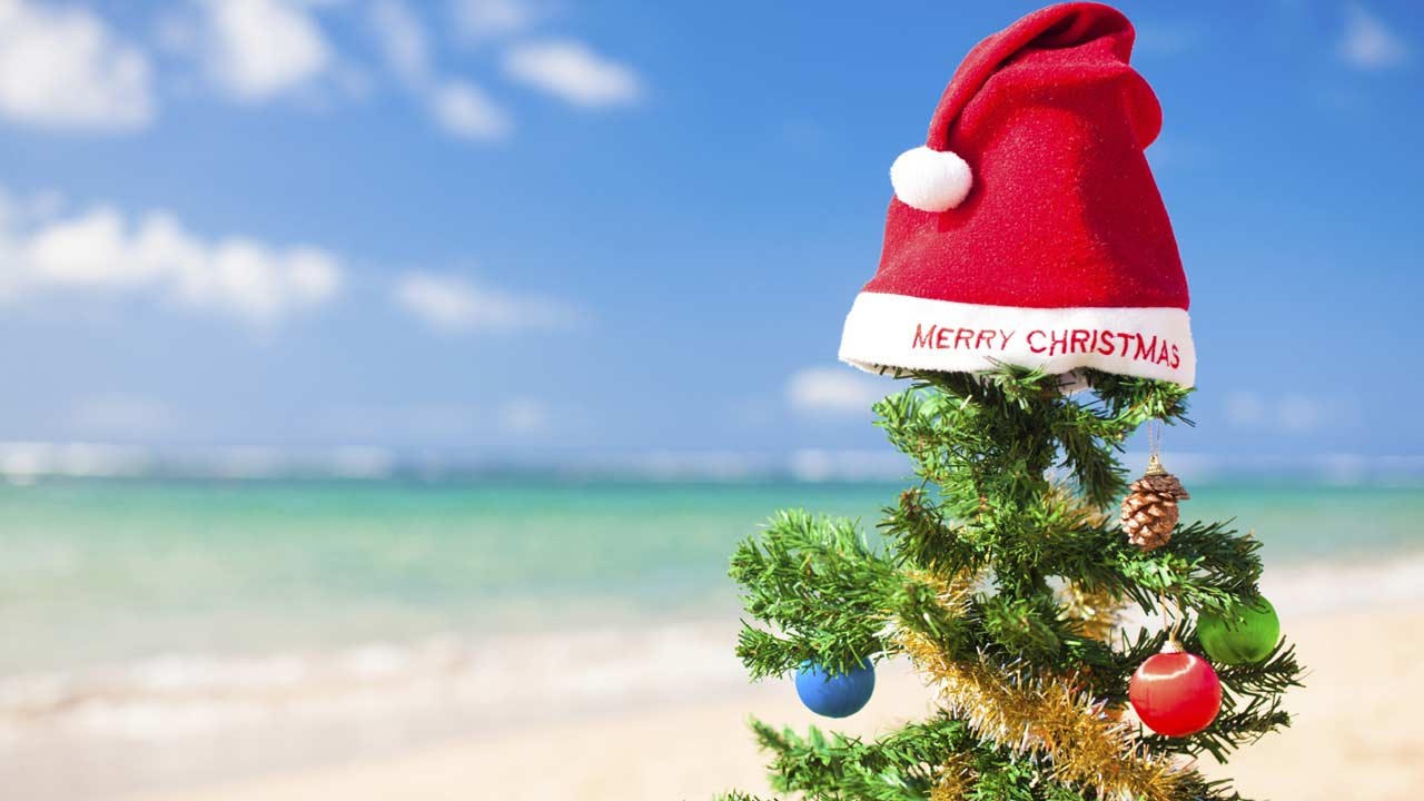 “राया… कुठं-कुठं जायचं Christmas ला?” देशात फिरा किंवा बाहेरगावी, विमानाचा दर जवळपास सारखाच