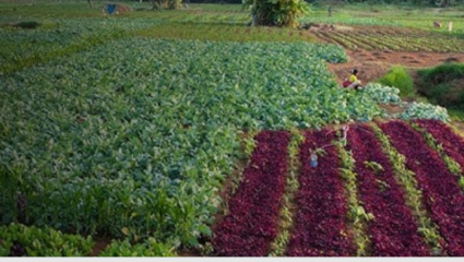 पाण्याचा प्रत्येक थेंब शेतकऱ्यांच्या फायद्यासाठी!  विभागांनी समन्वयाने काम करण्यावर दिला भर