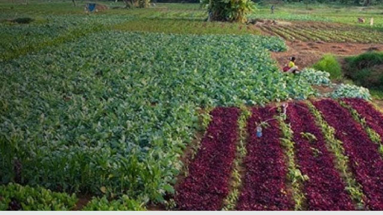 पाण्याचा प्रत्येक थेंब शेतकऱ्यांच्या फायद्यासाठी!  विभागांनी समन्वयाने काम करण्यावर दिला भर