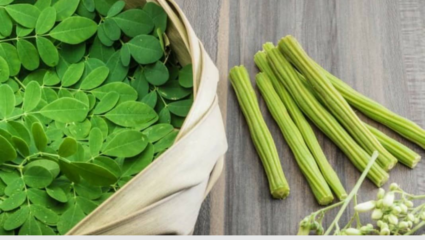 कॅल्शिअमच्या मुद्द्यात सगळ्यात पुढे! करा याचे सेवन, दूर होईल सर्व आजार