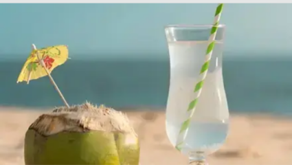तुम्ही जर नारळ पाणी प्याल तर पडेल महागात! पण कधी? जाणून घ्या