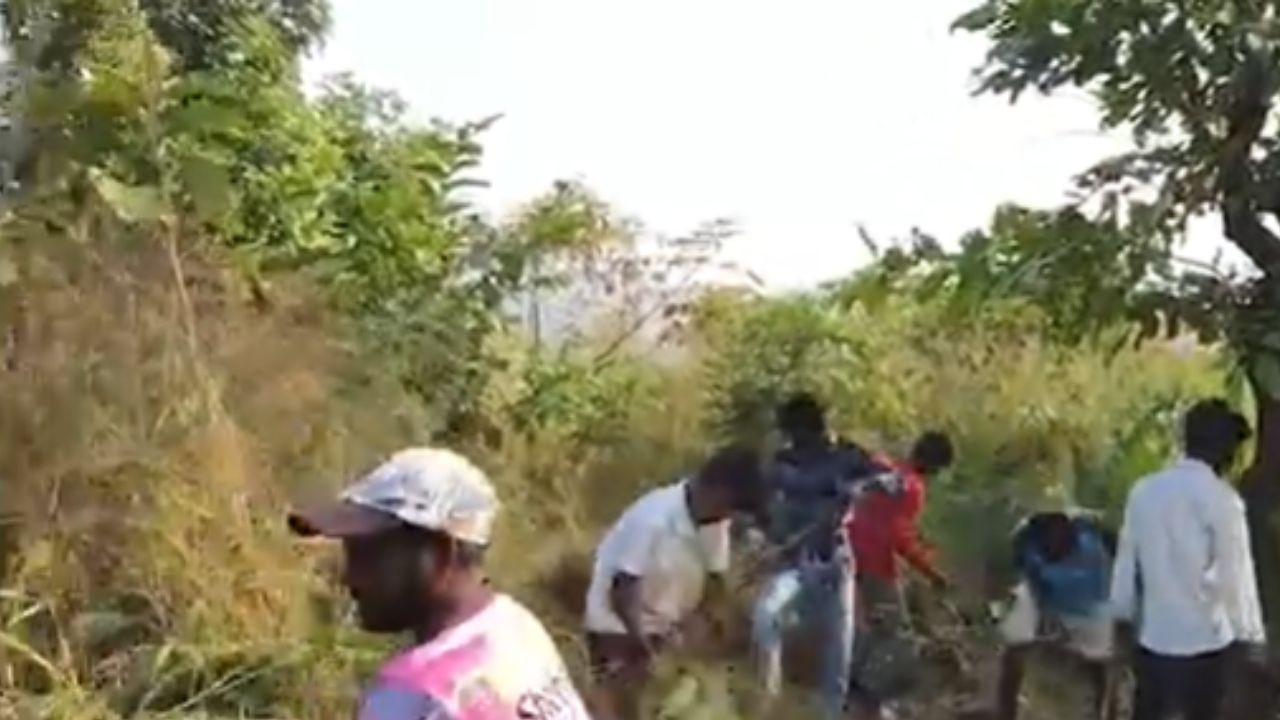 Raigad : पेण तालुक्यात 4 वर्षाची चिमुकली बेपत्ता, 24 तास उलटून देखील मुलीचा तपास नाही