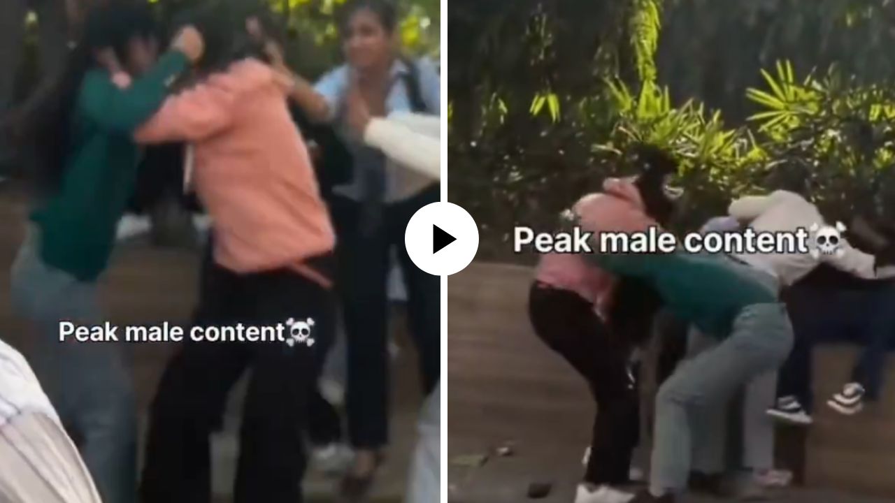 हा तुझा की माझा? एका प्रेमीसाठी 5 मुलींमध्ये झाली हाणामारी! कपडे खेचले, झिंज्या उपटल्या अन् मग जे झालं… Video Viral