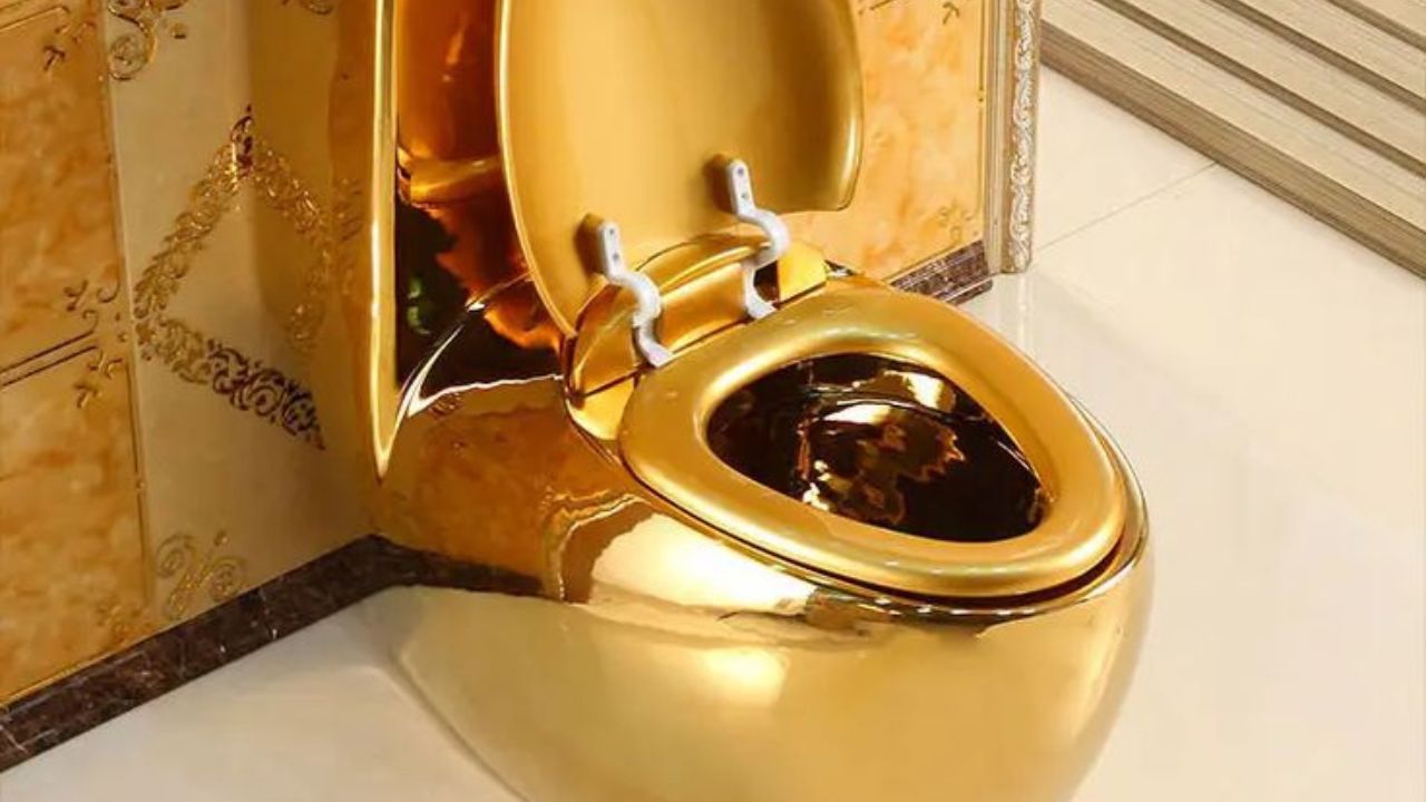 हे अनोखे कलात्मक उत्पादन रिप्लीज बिलीव इट ऑर नॉट (Ripley's Believe It or Not) या संस्थेने विकत घेतले आहे. ही संस्था जगातील सर्वात विचित्र आणि दुर्मिळ गोष्टींचा संग्रह ठेवते.
