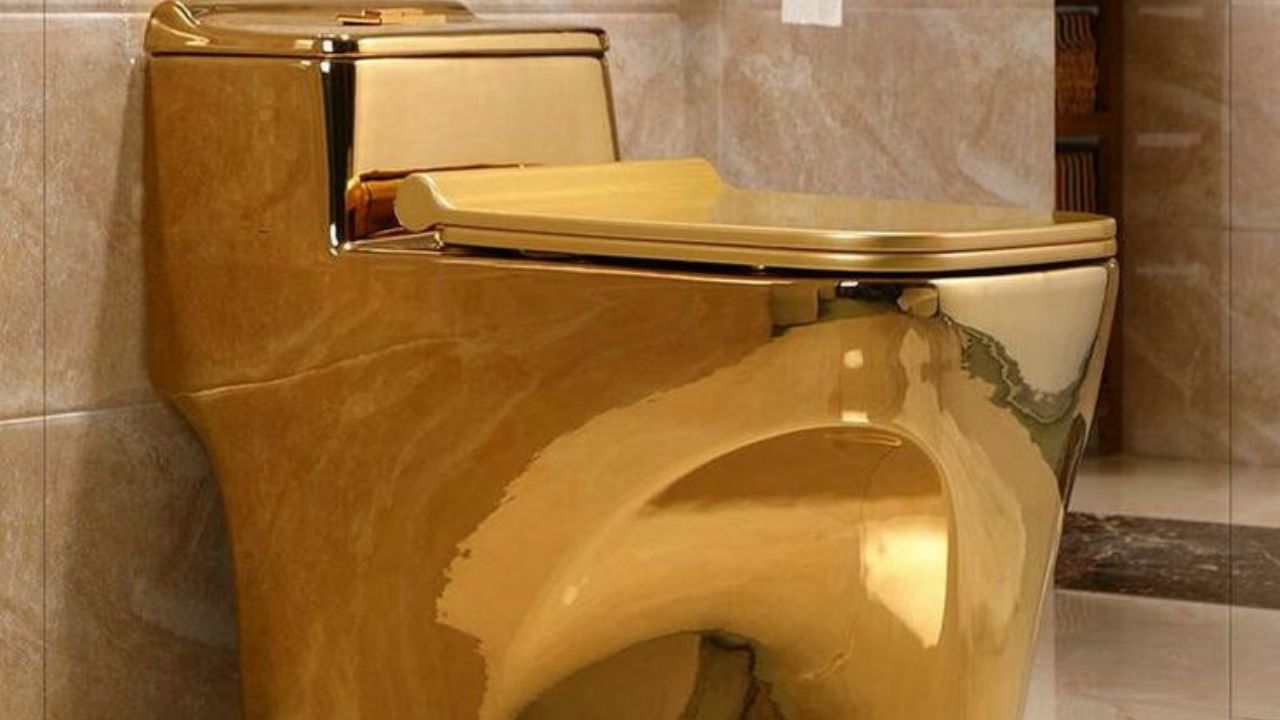 या चकचकीत टॉयलेटचे नाव अमेरिका (America) आहे. यात 101 किलोपेक्षा जास्त शुद्ध सोनं वापरले गेले आहे. आजच्या काळात, या सोन्याची किंमत सुमारे 10 मिलियन डॉलर (जवळपास 83 कोटी रुपये) आहे.
