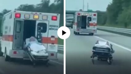 मृत्यूच्या लक्ष्मणरेषेतून थेट यमराजाच्या दारी पोहचवले! ड्रायव्हरचं नाही लक्ष, चालू ॲम्ब्युलन्समधून रुग्ण पडला रस्त्यावर…