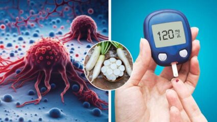 कॅन्सरपासून ते मधुमेहापर्यंत… या 10 रुपयाच्या पांढऱ्या भाजीमध्ये दडलेत अनेक औषधी गुणधर्म, अनेक आजारांवर करते मात