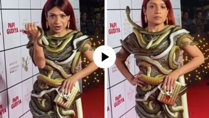 अंगावर जिवंत सापांना गुंडाळून मॉडेलने रेड कार्पेटवर मारली धमाकेदार एंट्री, पाहून सर्वांनाच बसला धक्का; Video Viral