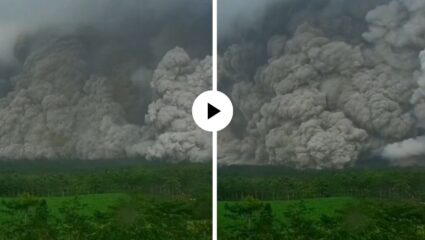 इंडोनेशियामध्ये झाला इंडोनेशियात  ज्वालामुखीचा उद्रेक, 13 किमीपर्यंत पसरली धुराची लाटभयानक ज्वालामुखीचा विस्फोट, 13 किमीपर्यंत पसर