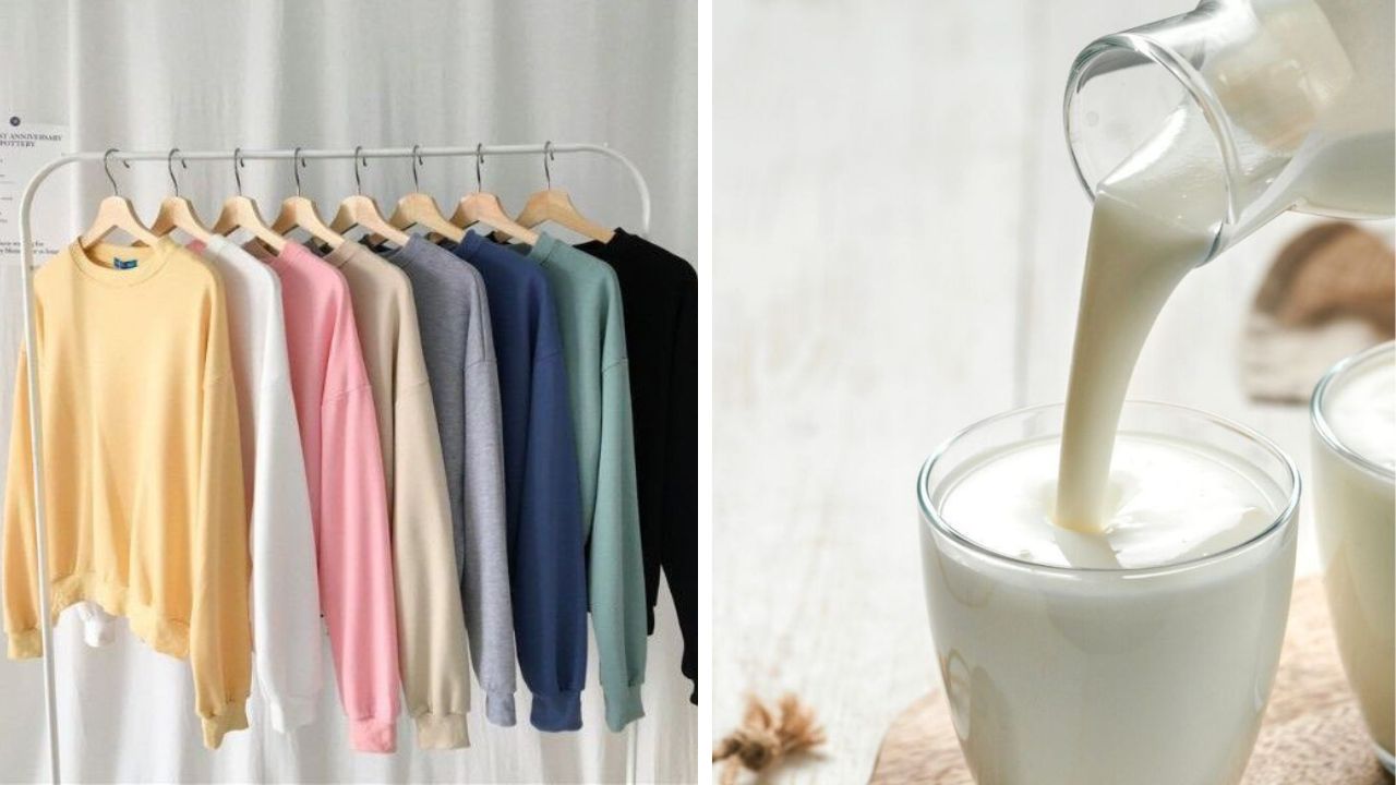 नासलेल्या दुधापासून तयार केले जाते उच्च दर्जाचे फॅब्रिक, रेशमापेक्षा तीनपट मऊ अन् वैशिष्ट्ये वाचाल तर हैराण व्हाल