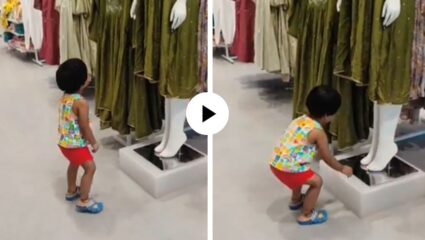 जेव्हा संस्कार ओव्हरलोड होतात! मॉलमधील पुतळ्यांना पाहताच चिमुकलीने असं काही केलं… पाहून सर्वांनाच आलं हसू; Video Viral