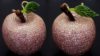 अरे बापरे! फळ आहे की सोनं? 10 कोटींचा सफरचंद सर्वत्र ठरलाय चर्चेचा विषय; नक्की काय खास आहे यात?