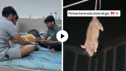 ही मुलं तर जास्तच खतरनाक निघाली… त्रास देणाऱ्या उंदराला पकडलं अन् थेट रश्शीवरच लटकवलं; Video Viral