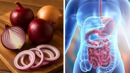 डॉक्टरांनी सांगितली कांद्याला खाण्याची योग्य पद्धत, पोटातील सर्व घाण निघेल बाहेर; स्मरणशक्तीही सुधारेल