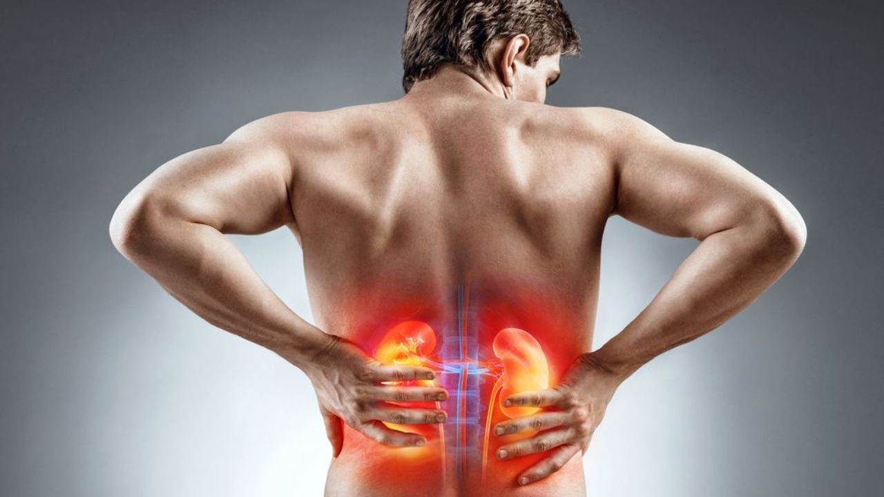 800000000 लोकांची किडनी झालीये खराब…. शरीर ओरडून ओरडून देत असते ‘हे’ संकेत, वेळीच नाही ओळखले तर मृत्यू अटळ!