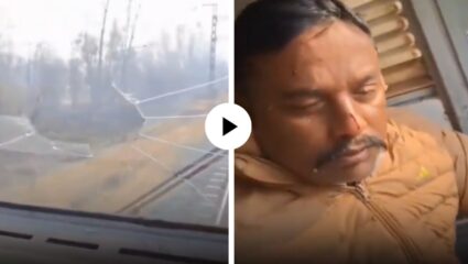 चालू ट्रेनला धडकला गरुड, काच फोडूनच आत शिरला अन् पक्ष्याच्या हल्ल्याने को-पायलटचं काढलं रक्त; अपघाताचा Video Viral