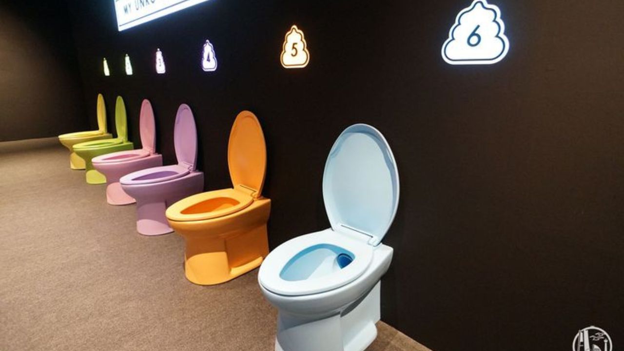 हे संग्रहालय तुम्हाला एक वेगळा अनुभव देऊन जाईल, जो इतर कोणत्याही ठिकाणी तुम्हाला अनुभवता येणार नाही