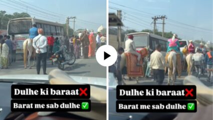 अजब लग्नाची गजब कहाणी! घोड्यावर बसले अन् वधूच्या घरी पोहचले तब्बल 29 वर, मग पुढे जे घडलं… Video Viral