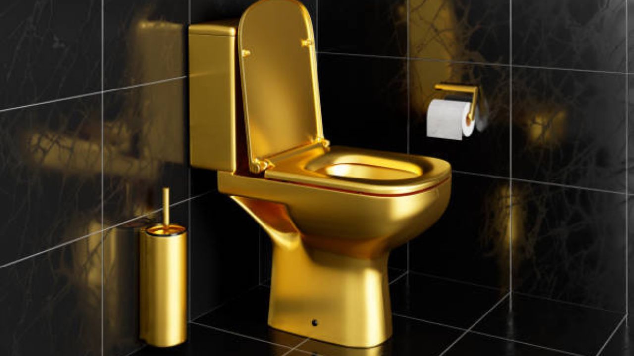  हे टॉयलेट आधी न्यूयॉर्कमधील गुगेनहाइम म्युझियममध्ये (Guggenheim Museum) बसवले होते. आश्चर्याची बाब म्हणजे या कलाकृतीला भेट देणारे लोक ते वापरूही शकत होते.
