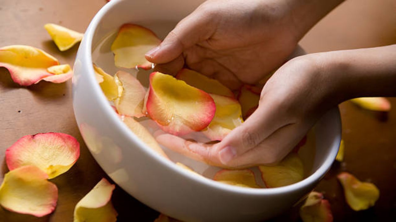 गुलाबजल तयार करण्यासाठी सर्वप्रथम गुलाबाच्या पाकळ्यांना पाण्याने स्वच्छ धुवून घ्या.