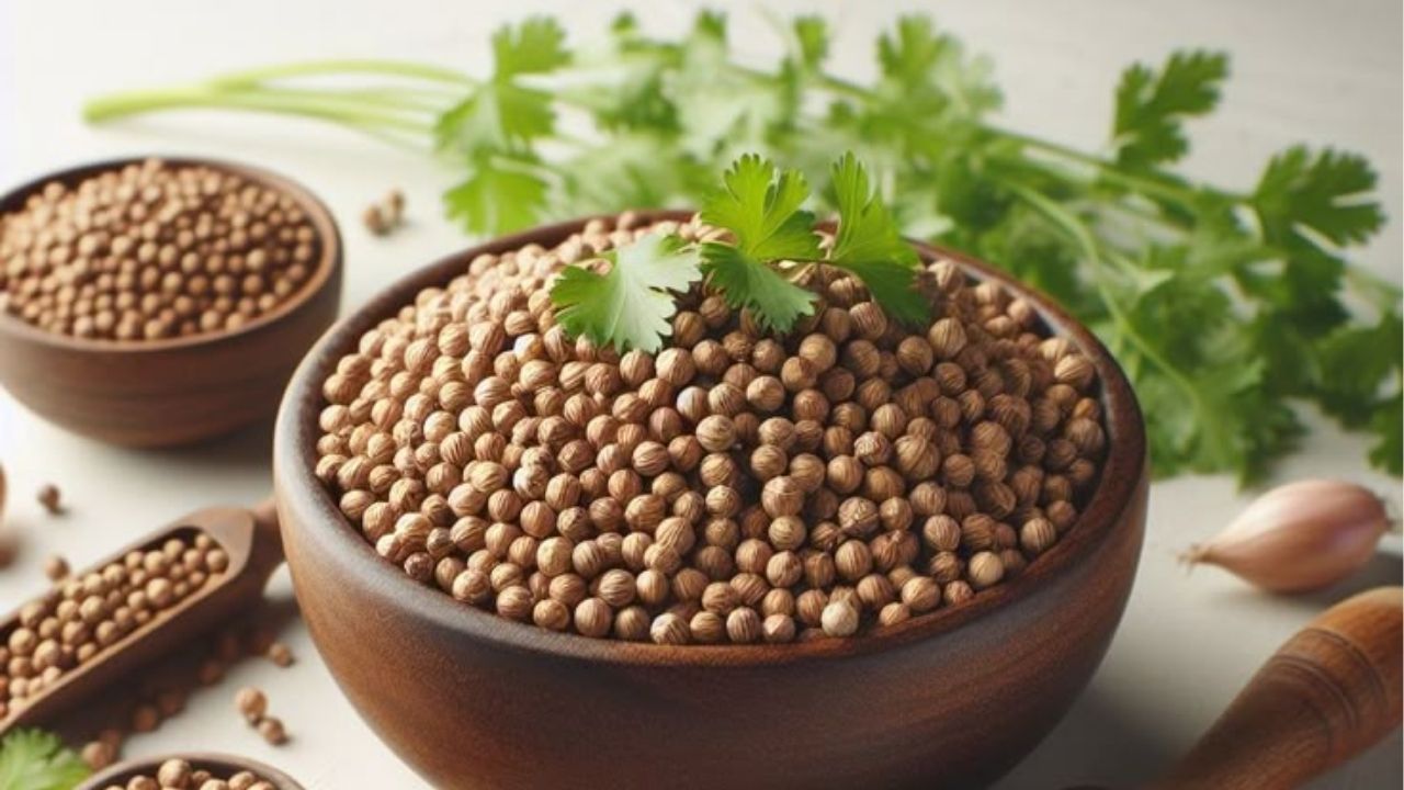 Lifestyle Tips: घरामध्ये कोथिंबीरीचे रोप लावण्यासाठी जाणून घ्या सोपी पद्धत