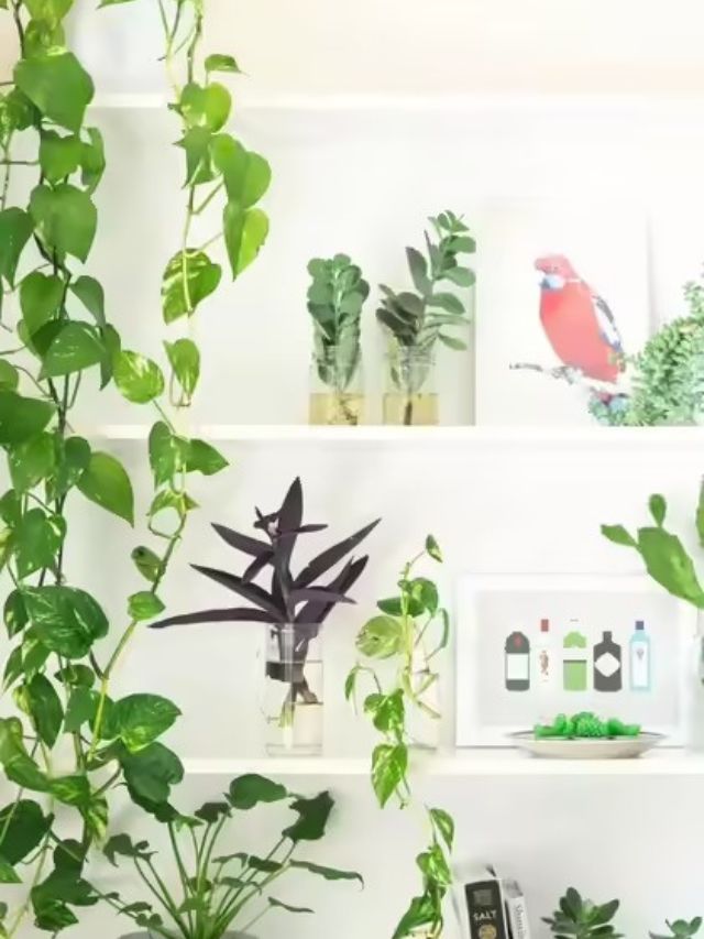 मुलांच्या बेडरूममध्ये कोणती झाडं लावावी? फुफ्फुसं राहतील हेल्दी