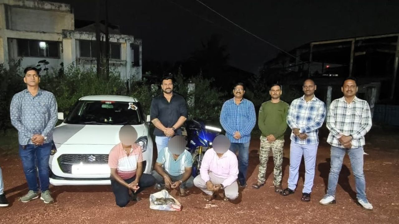 Ratnagiri : ‘व्हेल माशाच्या उलटीची 3 कोटींची तस्करी ; आरोपींना अटक