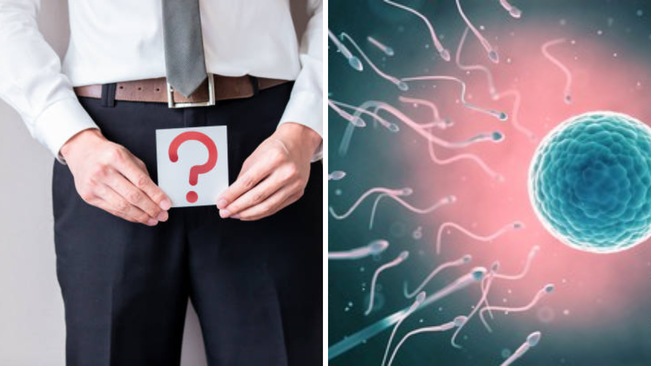 Male Fertility Fitness: Sperms च्‍या उत्तम आरोग्‍यासाठी १२ आठवड्यांचा रिसेट प्‍लॅन, काय सांगतात तज्ज्ञ