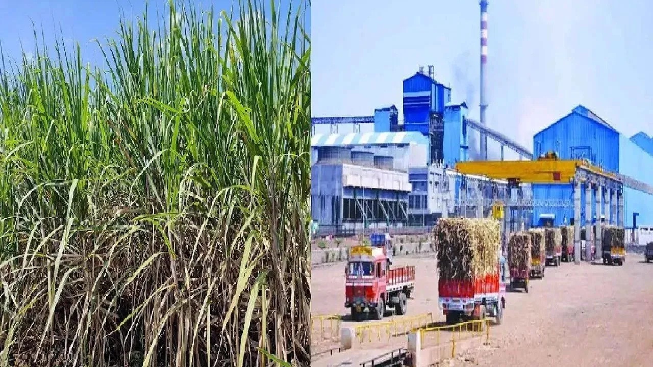 ऊस दरावर तोडगा नाहीच, जिल्हाधिकारी कार्यालयातील बैठक निष्फळ; कारखान्यांना पाच दिवसाची मुदत