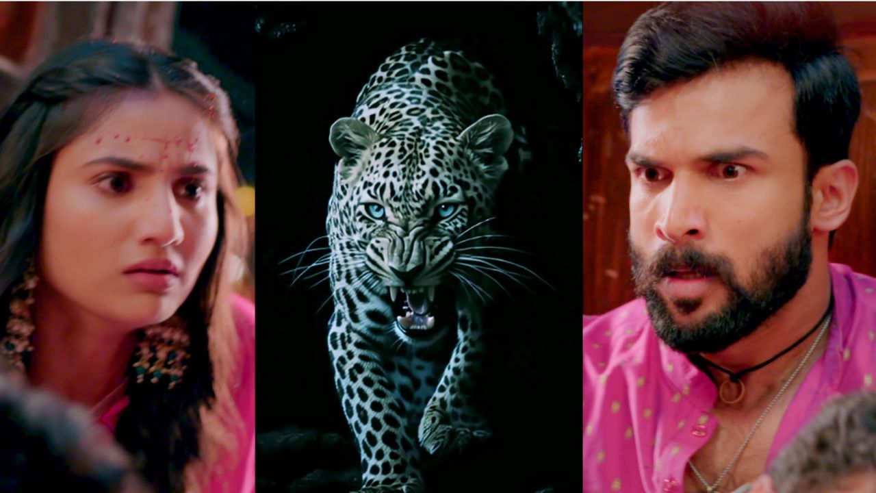 बिबट्याची दहशत दिसणार ‘येड लागलं प्रेमाचं’ मालिकेत, प्रेक्षकांना मिळणार जनजागृतीचा संदेश