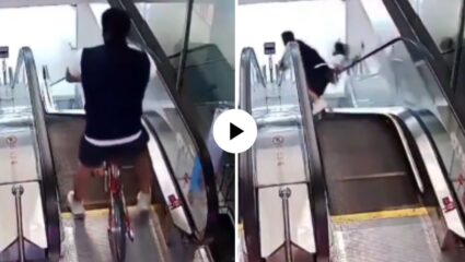 स्टंटबाजी पडली महागात! एस्कलेटवरुन सायकल चालवायला गेला अन्…; असं काही घडलं की पुन्हा करणार नाही धाडस, Video Viral