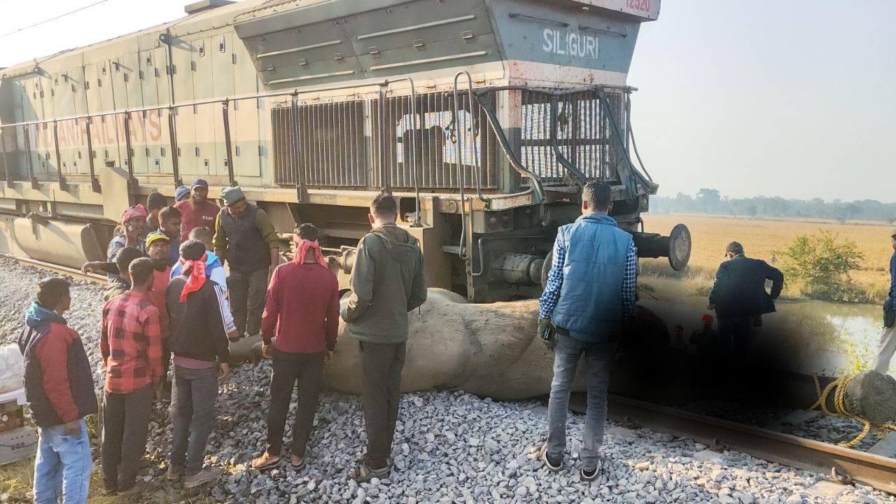 Train Accident : आसाममध्ये मोठा रेल्वे अपघात! राजधानी एक्सप्रेस हत्तींच्या कळपाला धडकली, ८ हत्तींचा मृत्यू तर ५ डबे रुळावरून घसरले