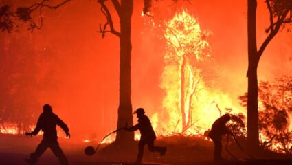 Wildfire Australia : ऑस्ट्रेलियाच्या जंगलाला लागली भीषण आग ; अनेक घरे जळून खाक, १चा मृत्यू