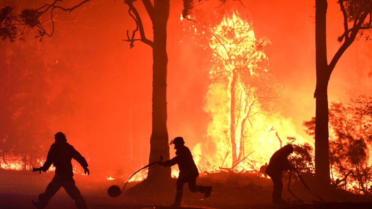Wildfire Australia : ऑस्ट्रेलियाच्या जंगलाला लागली भीषण आग ; अनेक घरे जळून खाक, १चा मृत्यू