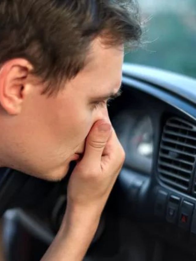 कारमधील दुर्गंधी चुटकीसरशी गायब होईल, हे फळ चिरून कारमध्ये ठेवा