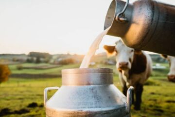 India’s Dairy Product: दुग्ध उत्पादकांसाठी खुशखबर! वर्तुळाकार अर्थव्यवस्थेमुळे दूध उत्पादकांना मोठा दिलासा