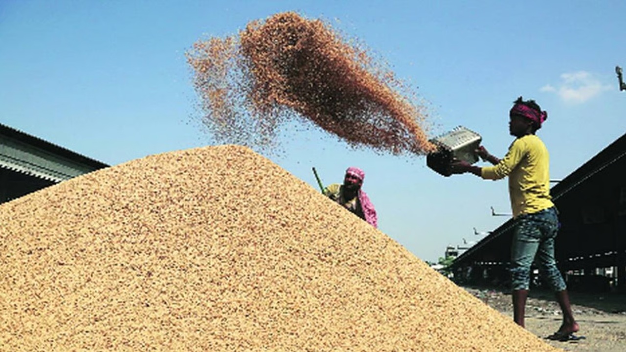 Farmers News : शेतकऱ्यांसाठी दिलासादायक! धान खरेदीच्या ऑनलाइन नोंदणीला मुदतवाढ