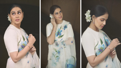 महाराष्ट्राच्या ‘वहिनी’ जेनेलियाची बातच न्यारी! ऑर्गेंझा साडी आणि हातातील मंगळसूत्राच्या डिझाईनने वेधले लक्ष